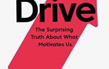 Drive: The Surprising Truth About What Motivates Us - Daniel H. Pin